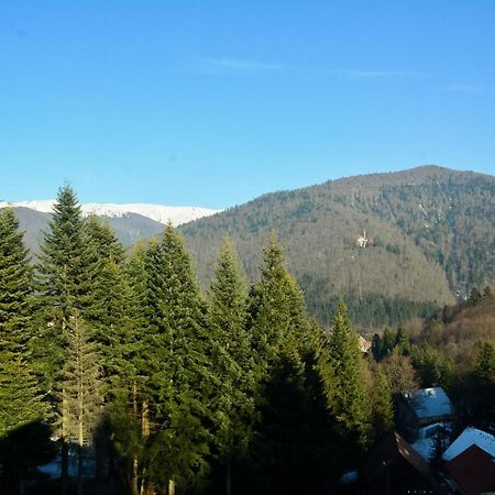 Grandpa's hidden crib, 6 bedroom, pet friendly Sinaia Buitenkant foto