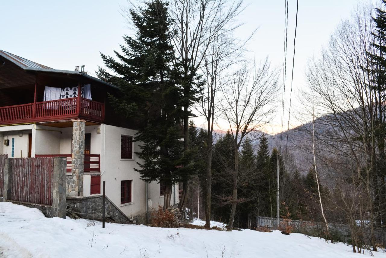 Grandpa's hidden crib, 6 bedroom, pet friendly Sinaia Buitenkant foto