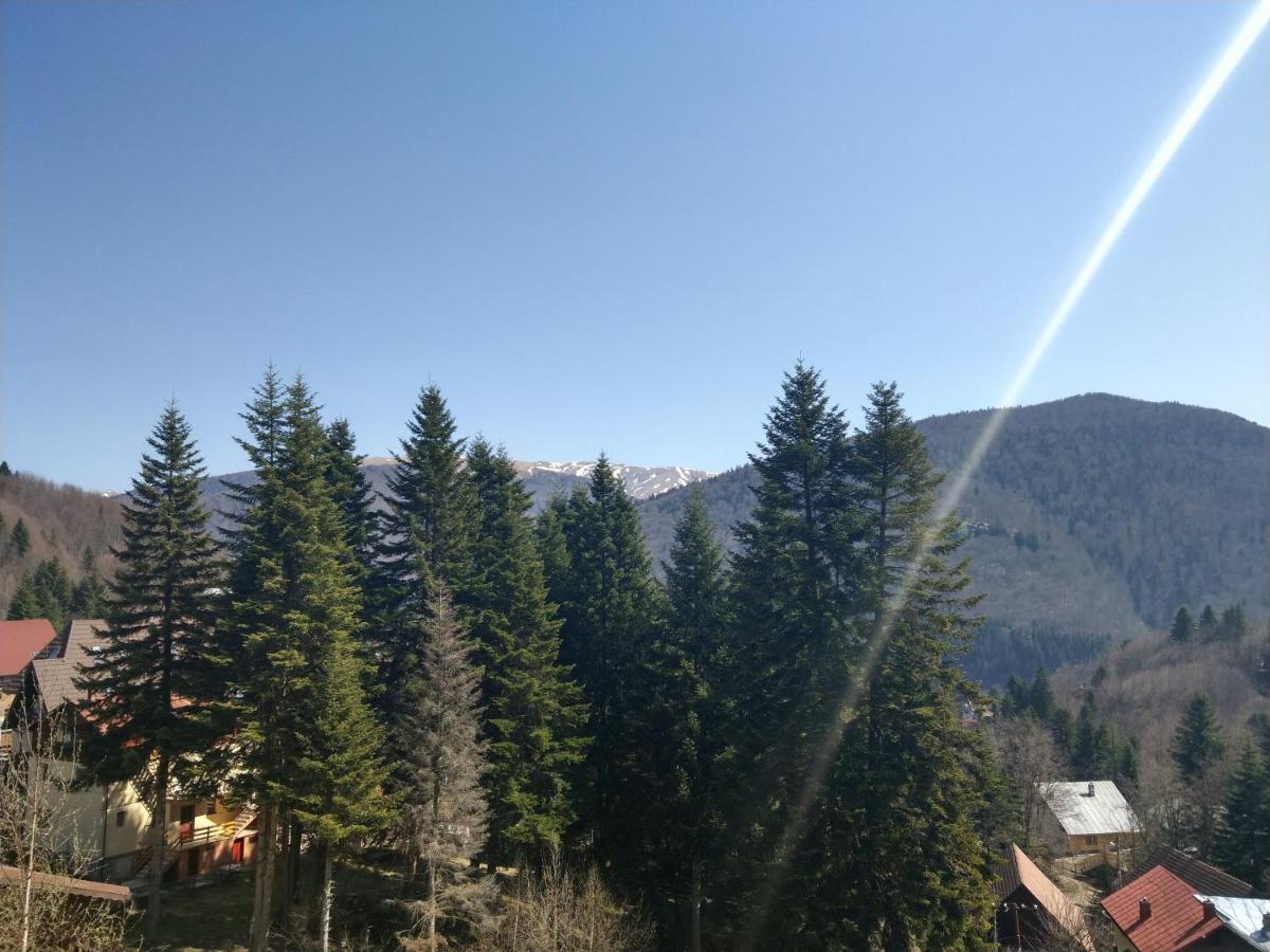 Grandpa's hidden crib, 6 bedroom, pet friendly Sinaia Buitenkant foto