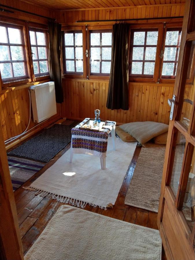 Grandpa's hidden crib, 6 bedroom, pet friendly Sinaia Buitenkant foto