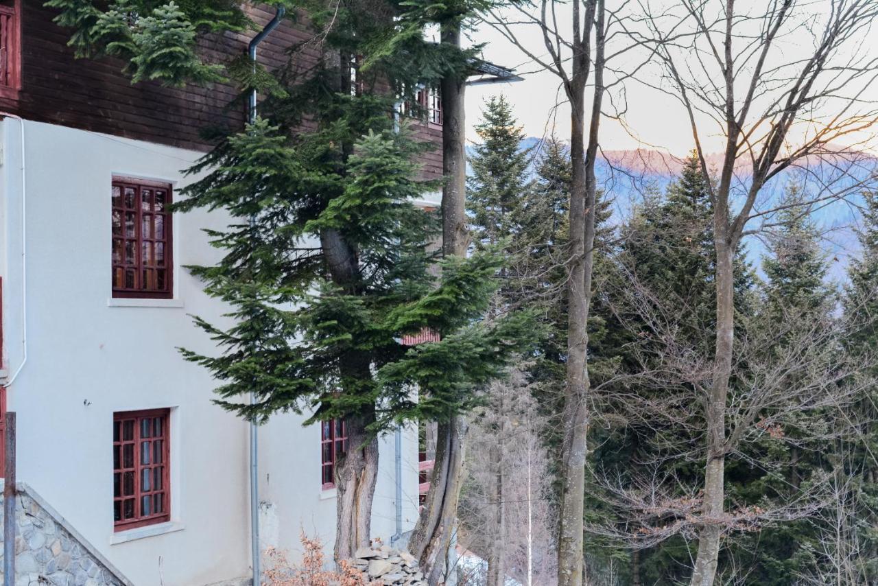 Grandpa's hidden crib, 6 bedroom, pet friendly Sinaia Buitenkant foto