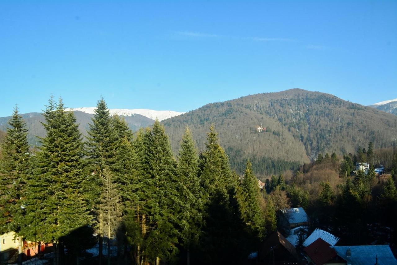 Grandpa's hidden crib, 6 bedroom, pet friendly Sinaia Buitenkant foto