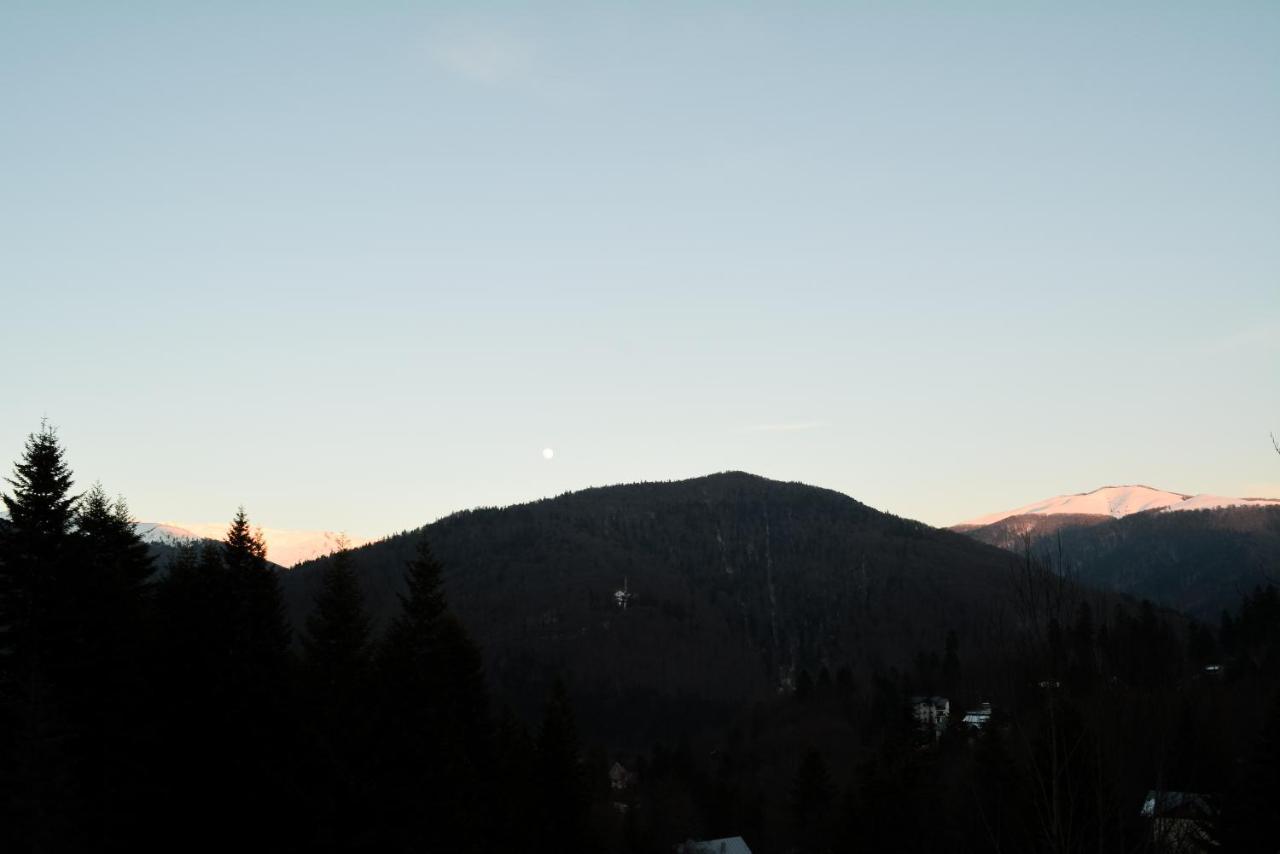 Grandpa's hidden crib, 6 bedroom, pet friendly Sinaia Buitenkant foto