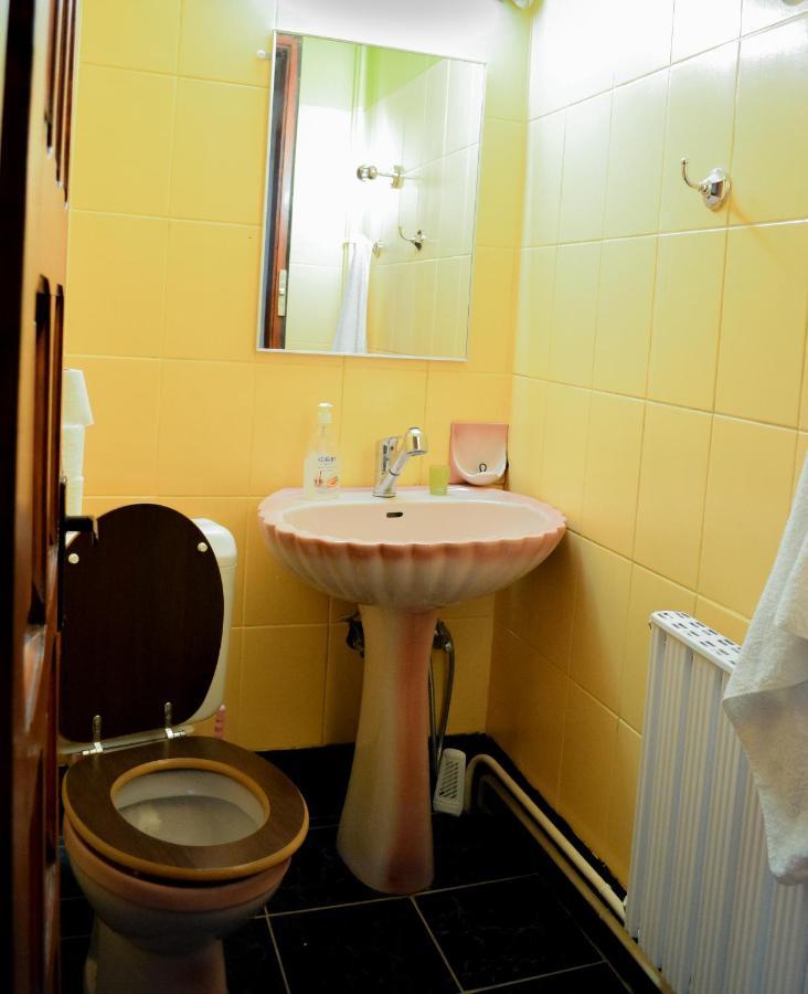 Grandpa's hidden crib, 6 bedroom, pet friendly Sinaia Buitenkant foto