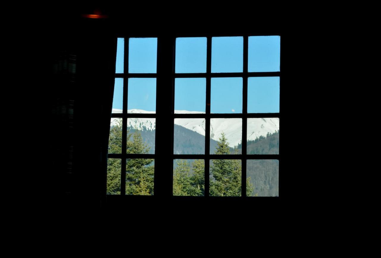 Grandpa's hidden crib, 6 bedroom, pet friendly Sinaia Buitenkant foto